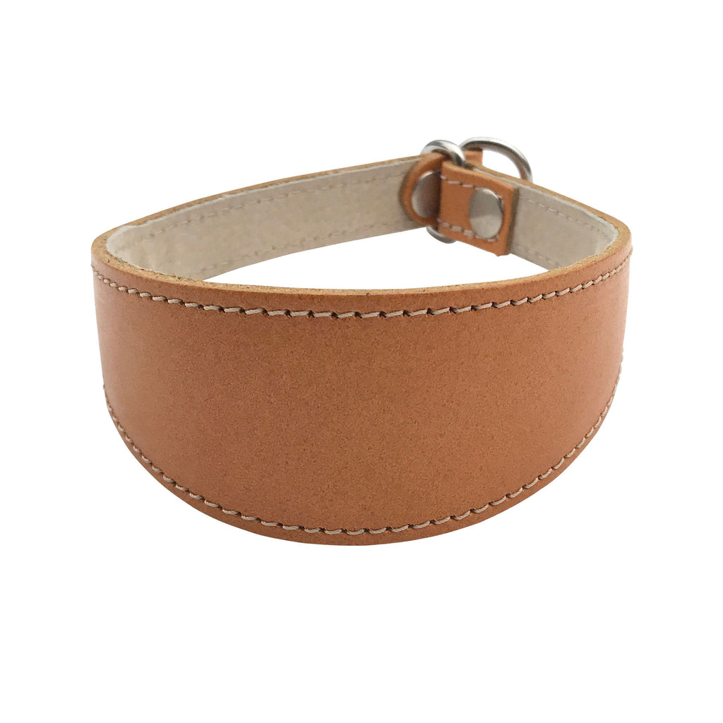 BBD Pet Products Greyhound Slip Collar, One Size, 3/4 x 14 to 16-Inch, Tan - PawsPlanet Australia