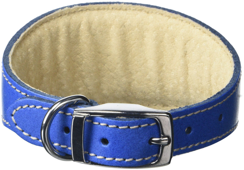 BBD Pet Products Whippet Collar, One Size, 3/4 x 10 to 12-Inch, Royal - PawsPlanet Australia