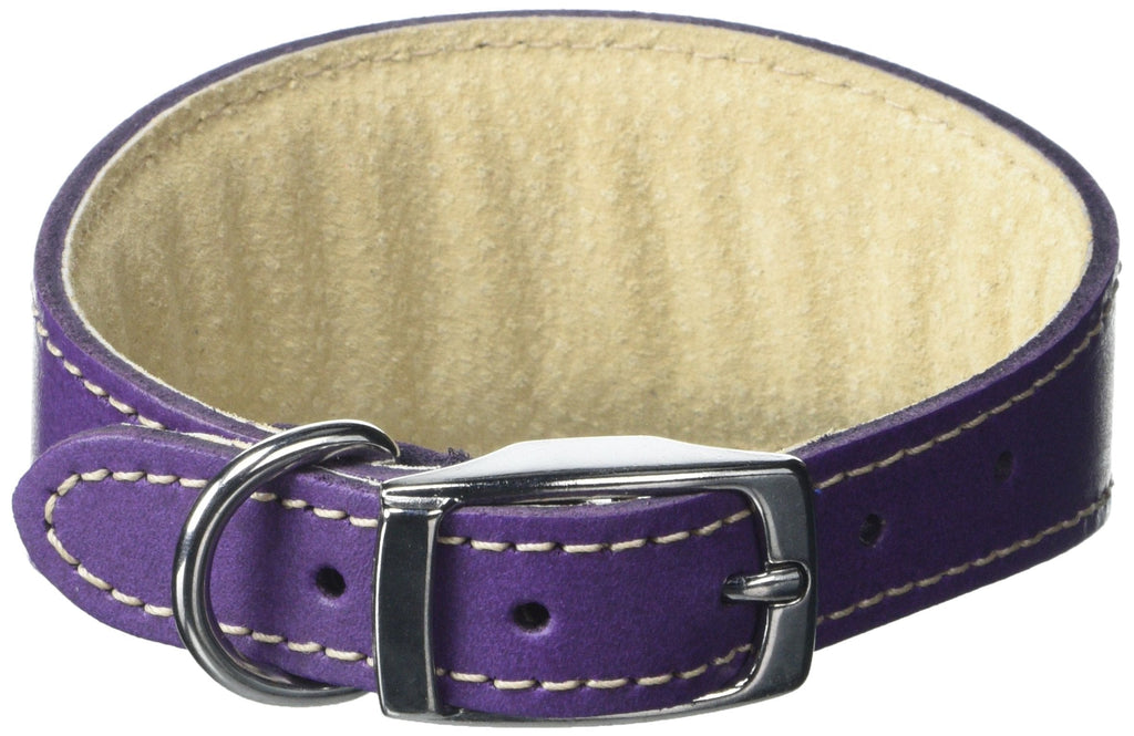 BBD Pet Products Whippet Collar, One Size, 3/4 x 10 to 12-Inch, Purple - PawsPlanet Australia