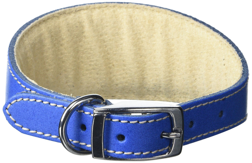 BBD Pet Products Whippet Collar, One Size, 3/4 x 12 to 14-Inch, Royal - PawsPlanet Australia