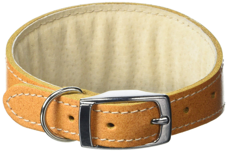 BBD Pet Products Whippet Collar, One Size, 3/4 x 10 to 12-Inch, Tan - PawsPlanet Australia