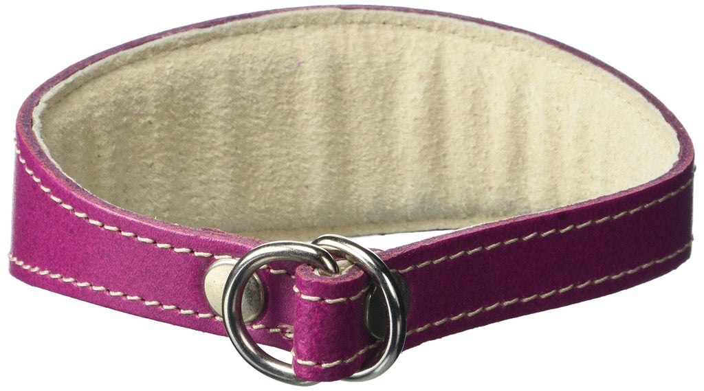 BBD Pet Products Whippet Slip Collar, One Size, 3/4 x 12 to 14-Inch, Boysenberry - PawsPlanet Australia