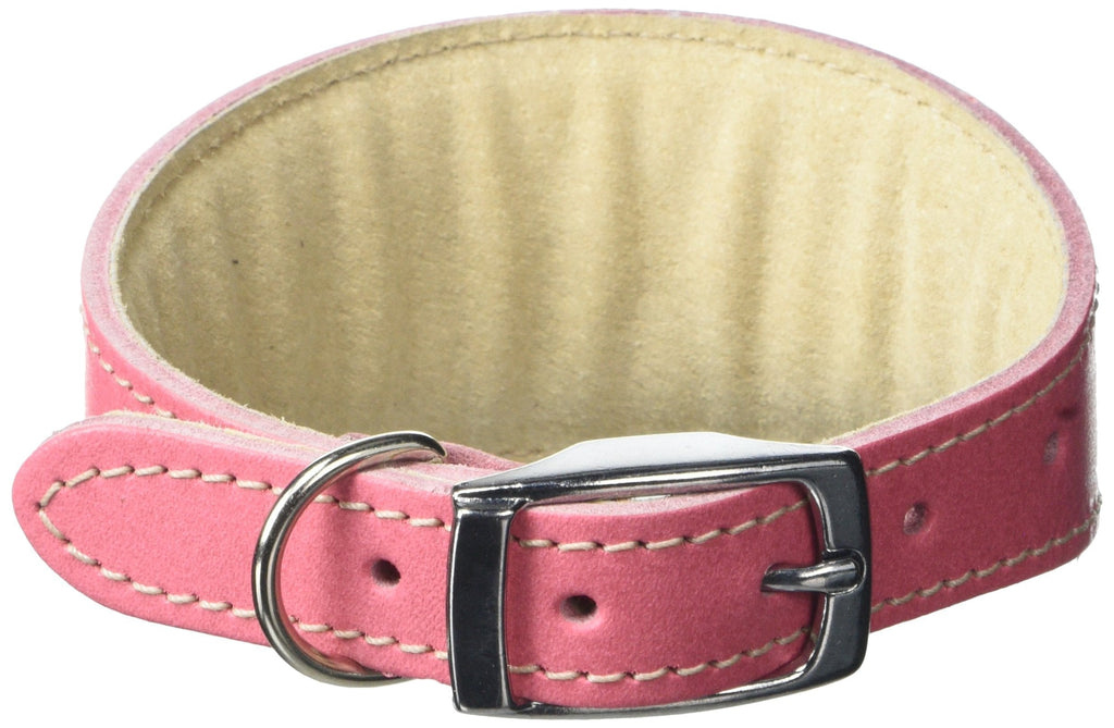 BBD Pet Products Whippet Collar, One Size, 3/4 x 10 to 12-Inch, Pink - PawsPlanet Australia