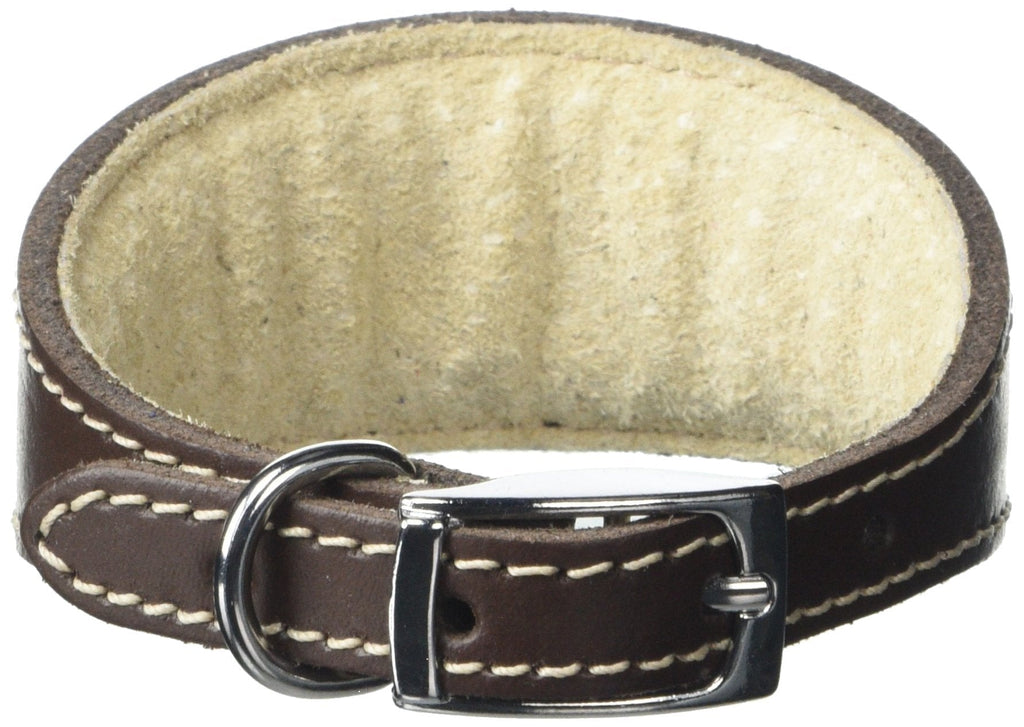 BBD Pet Products Italian Grey Hound Collar, One Size, 1/2 x 8 to 10-Inch, Brown - PawsPlanet Australia