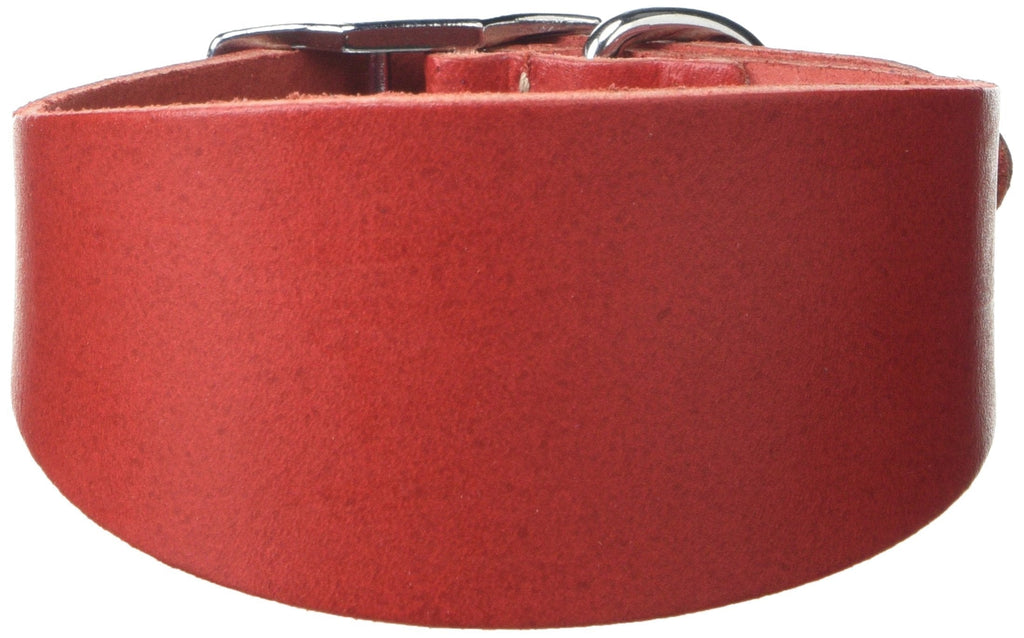 BBD Pet Products Budget Whippet Collar, One Size, 3/4 x 10 to 12-Inch, Red - PawsPlanet Australia