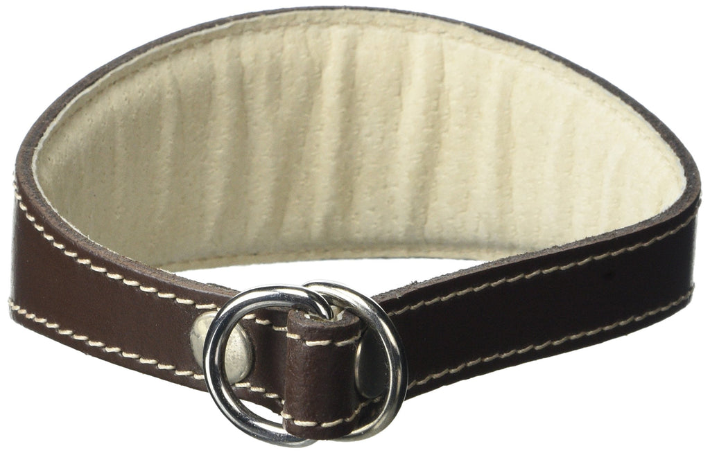 BBD Pet Products Whippet Slip Collar, One Size, 3/4 x 12 to 14-Inch, Brown - PawsPlanet Australia