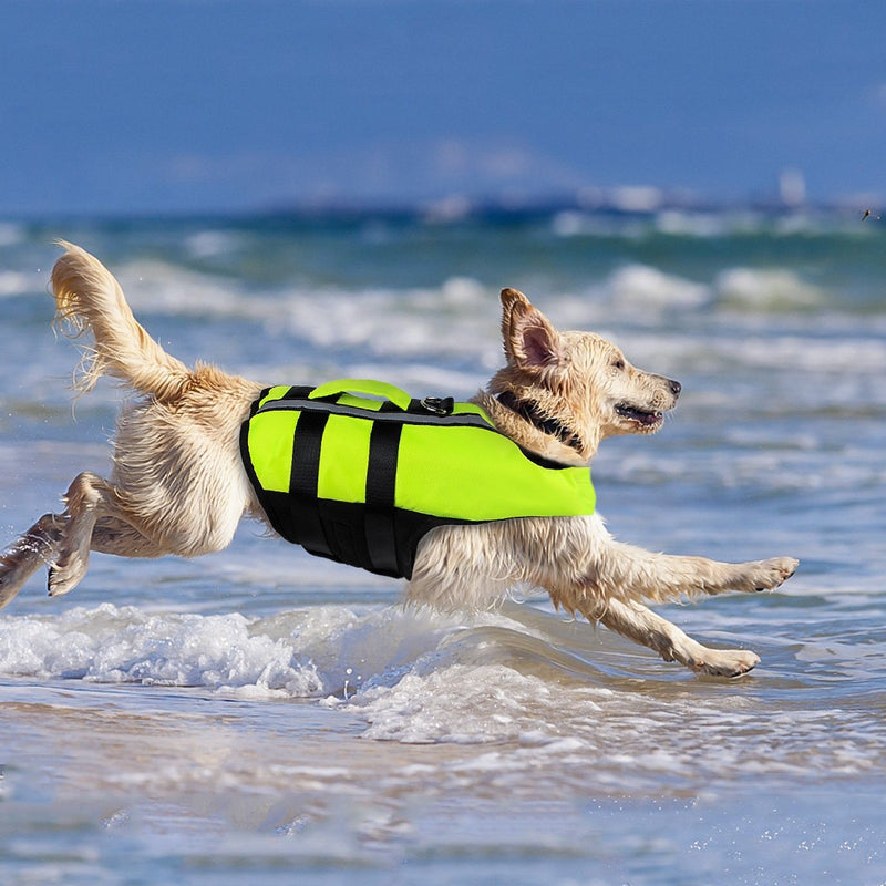 Namsan Dog Life Jacket Pet Life Vest Swimming Jacket for Large Dog, Green L - PawsPlanet Australia