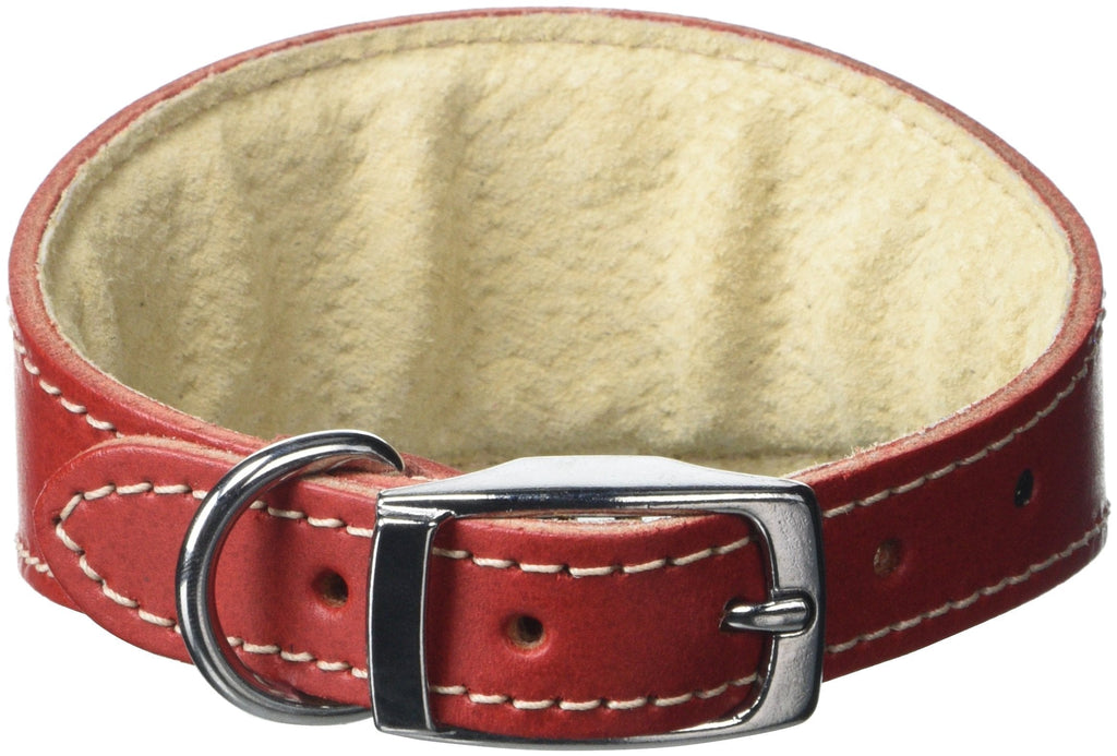 BBD Pet Products Whippet Collar, One Size, 3/4 x 10 to 12-Inch, Red - PawsPlanet Australia