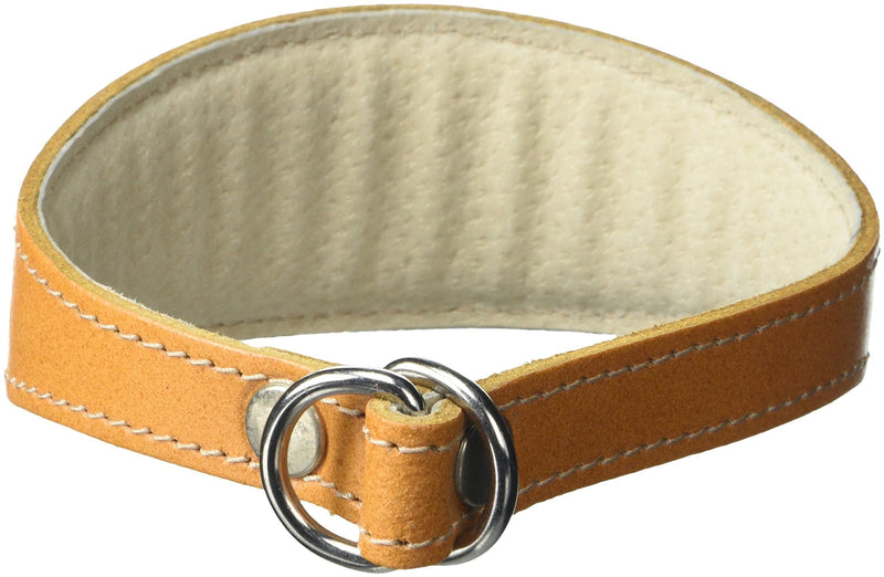 BBD Pet Products Whippet Slip Collar, One Size, 3/4 x 12 to 14-Inch, Tan - PawsPlanet Australia