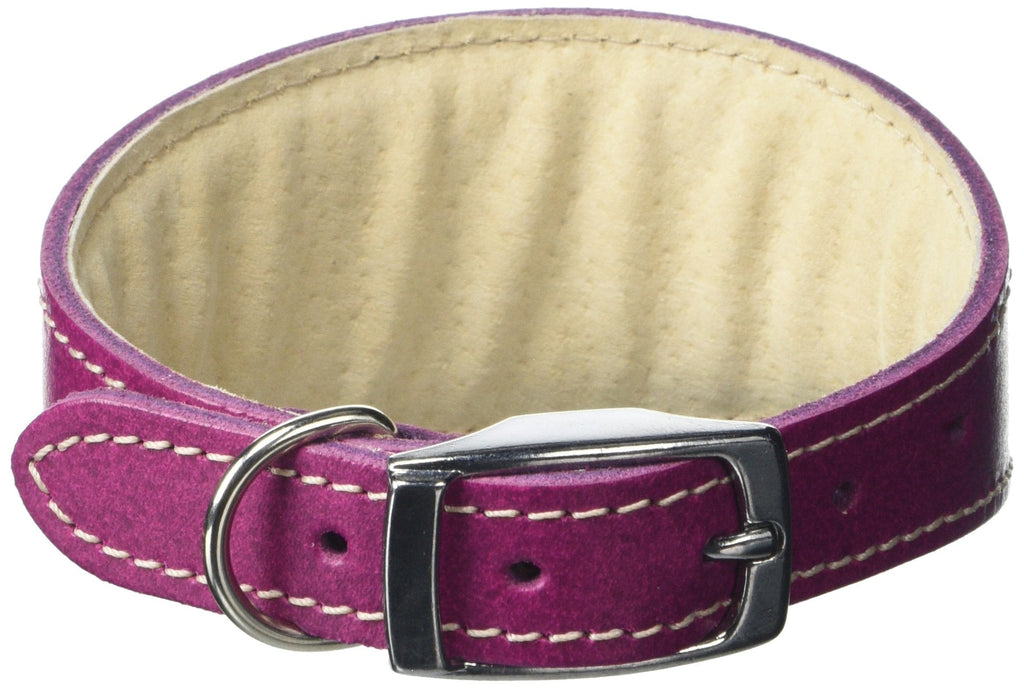 BBD Pet Products Whippet Collar, One Size, 3/4 x 10 to 12-Inch, Boysenberry - PawsPlanet Australia