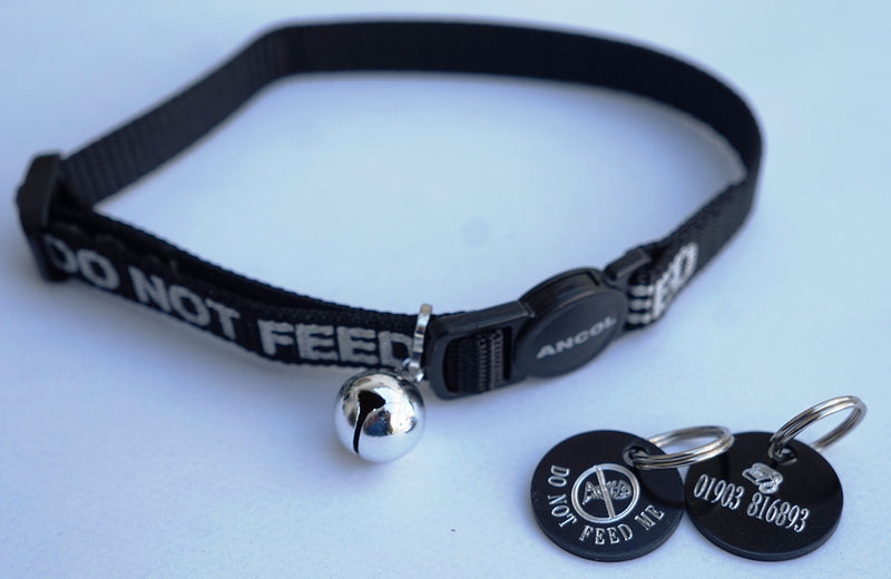 DO NOT FEED REFLECTIVE SAFETY CAT COLLAR BLACK & PERSONALISED TAG WITH FISH BONE MOTIF - PawsPlanet Australia