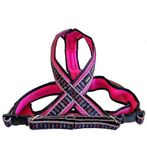 FinNero Soft Ratia 8-Shape Mesh Harness for Dogs - PawsPlanet Australia