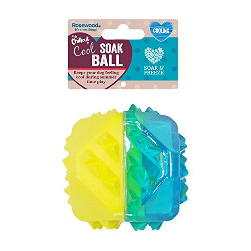 Rosewood Cooling Outdoor Dog Toy Freezable Teething Ball for Summer, clear - PawsPlanet Australia