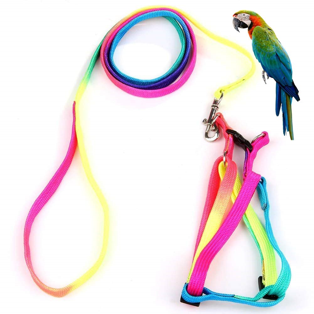 Pet Bird Harness and Leash with Buckle Adorable Rainbow Design Safe Parrot Leash Pet Harness Outdoor Adjustable Anti Bite Training Rope for Macaw Large Size Bird (M: 1cm × 47.24in) M: 1cm × 47.24in - PawsPlanet Australia