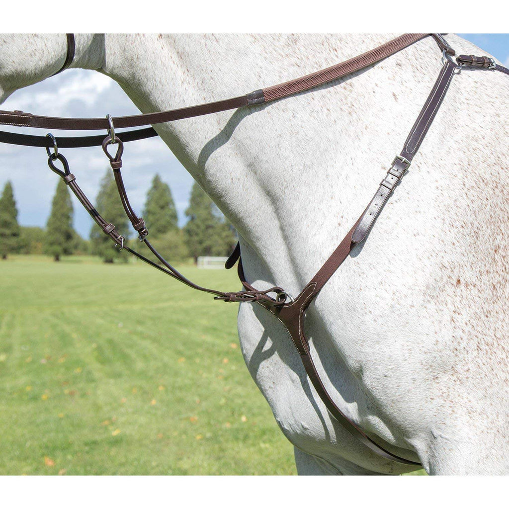 Shires Avignon 3 Point Breast Plate Cob Havana - PawsPlanet Australia