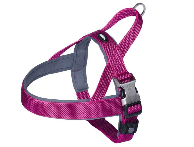 Nobby Classic Preno Royal Norwegian Harness Width 20 mm Length 58-69 cm + 54 cm Grey - PawsPlanet Australia