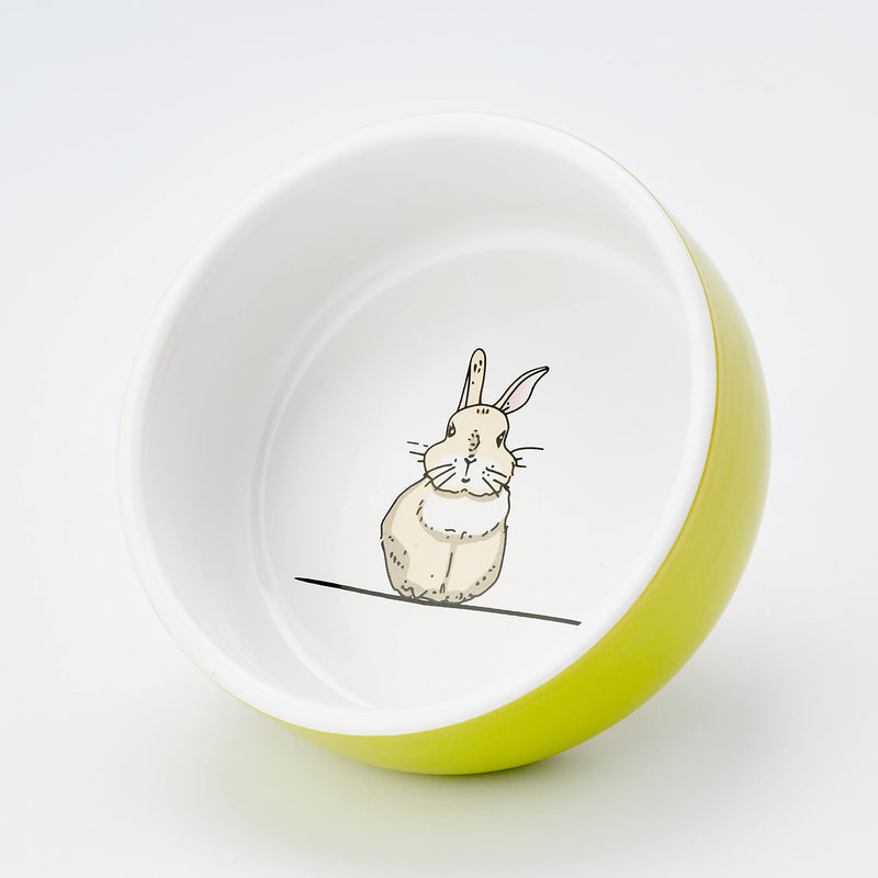 Nobby Rabbit Rodent Ceramic Bowl Diameter 11 cm x 4.5 cm Green / White Green/White - PawsPlanet Australia