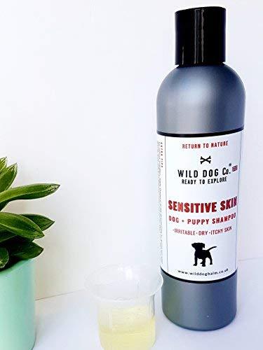 Wild Dog Co Sensitive Shampoo for itchy dogs and puppies, soothing for irritable, dry skin, highly concentrated formula MADE IN THE UK - PawsPlanet Australia