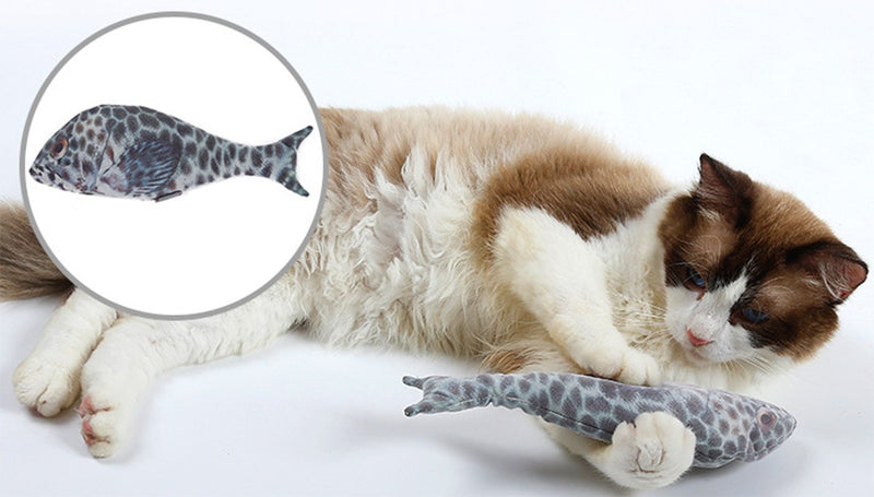 Xiaoyu Fish Cat Toys, Refilling Catnip Toys Simulation Plush Fish Cat Toys Interactive Chewing Toys for Cat/Kitty/Kitten, Brown - PawsPlanet Australia