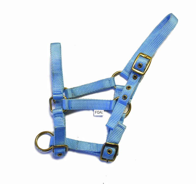 Rhinegold Nylon Foal Headcollar Baby Blue - PawsPlanet Australia