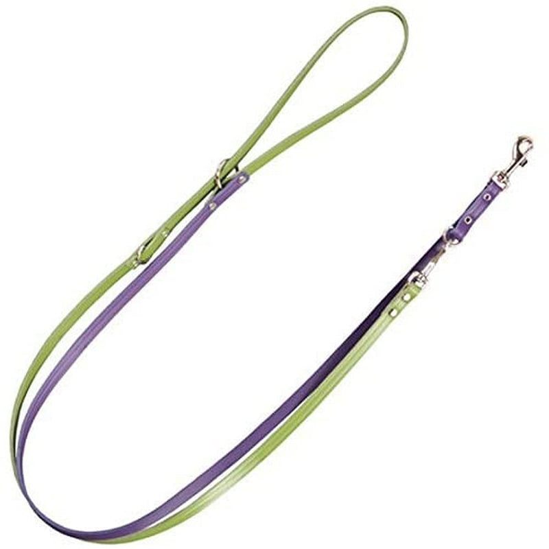 Arppe 218701020104 multiposicción Leather Strap Puzzle, Green and Purple - PawsPlanet Australia