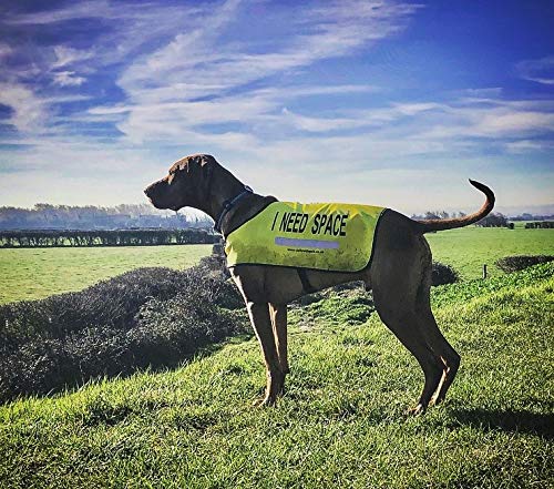 Yellow Dog UK Dog Vest - I NEED SPACE (Extra Small) Extra Small - PawsPlanet Australia