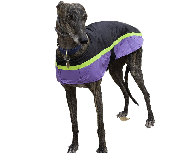 Safe to Shake Waterproof Dog Coat | Lightweight | Warm | Reflective Strip | SightHound | Greyhound | Whippet XS - PawsPlanet Australia