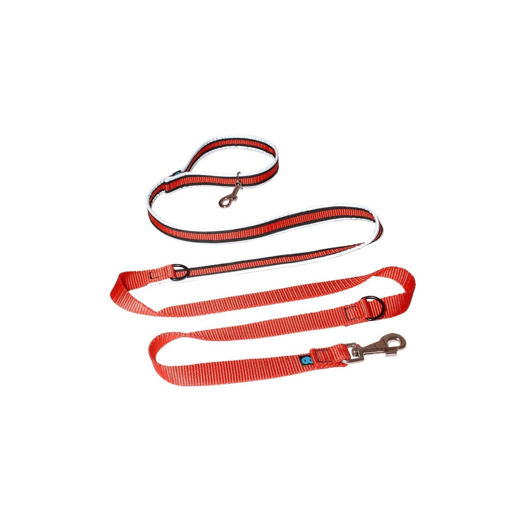 Reflective Dog Lead - High Quality Dog Leash, Adjustable Design, Functional and Extremely Durable Dog Training Lead - Red, Dog Running Leash (200cm) 200 cm - PawsPlanet Australia