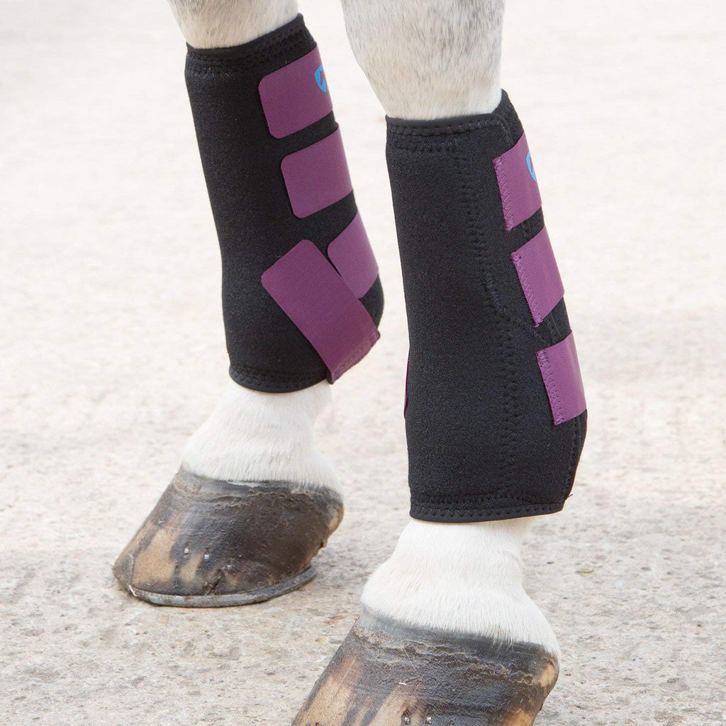 Shires Arma Breathable Sports Boots Plum Cob - PawsPlanet Australia