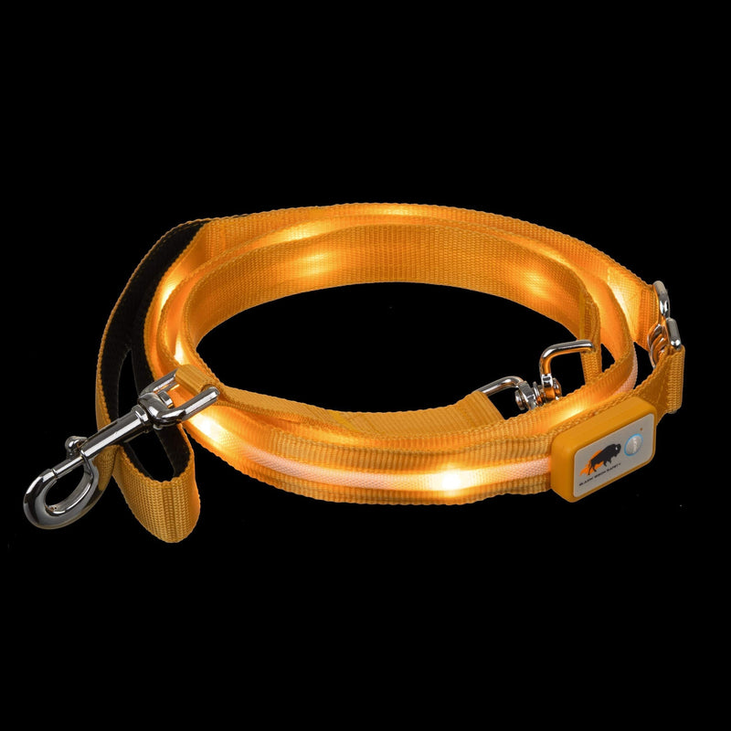 Blazin' Safety LED Dog Leash - USB Rechargeable Flashing Light Lead, 6 Ft, Water Resistant – Avoid Danger (Large, Orange) Large - PawsPlanet Australia