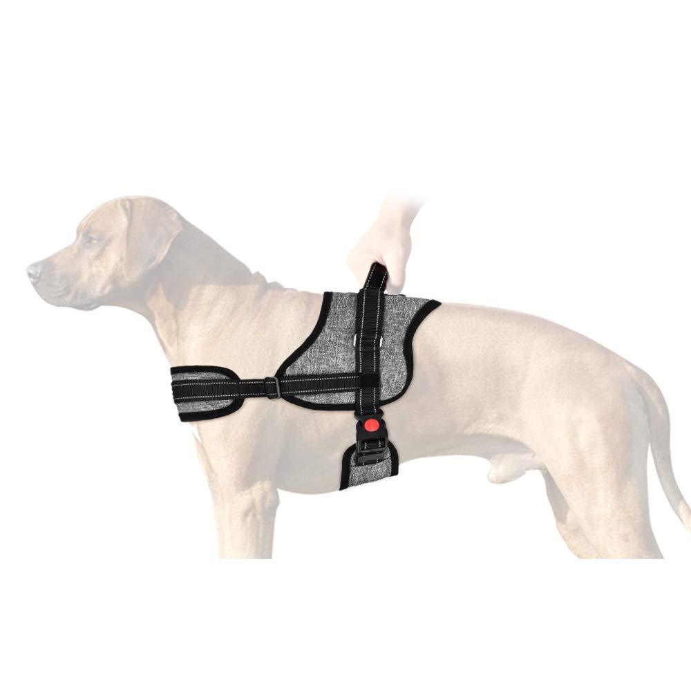 SlowTon No Pull Dog Vest Harness, New Generation Adjustable Neck Strap and Chest Strap, Breathable Padded Vest with Handle on Top, Easy Put On and Take Off Harness with Locking Buckle for Large Dog - PawsPlanet Australia