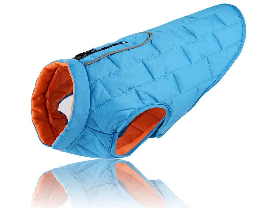 Morezi Loft Jacket, Reversible Dog Coat, Dog Coat for Cold Weather, Water-Resistant Dog Jacket with Reflective Trim - Blue - XXLarge XXL - PawsPlanet Australia