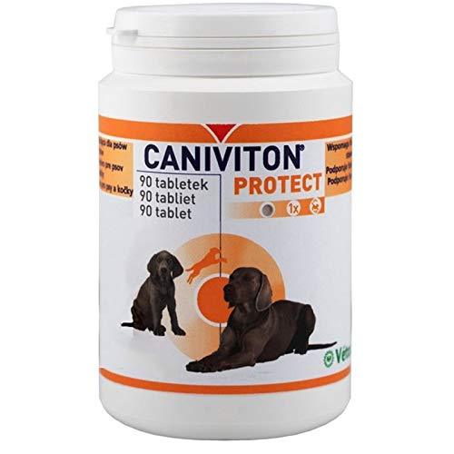 Vetoquinol CANIVITON Protect 90 - PawsPlanet Australia