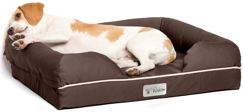 PetFusion Small Dog Bed with Solid 2.5" Memory Foam Chocolate Brown Single - PawsPlanet Australia