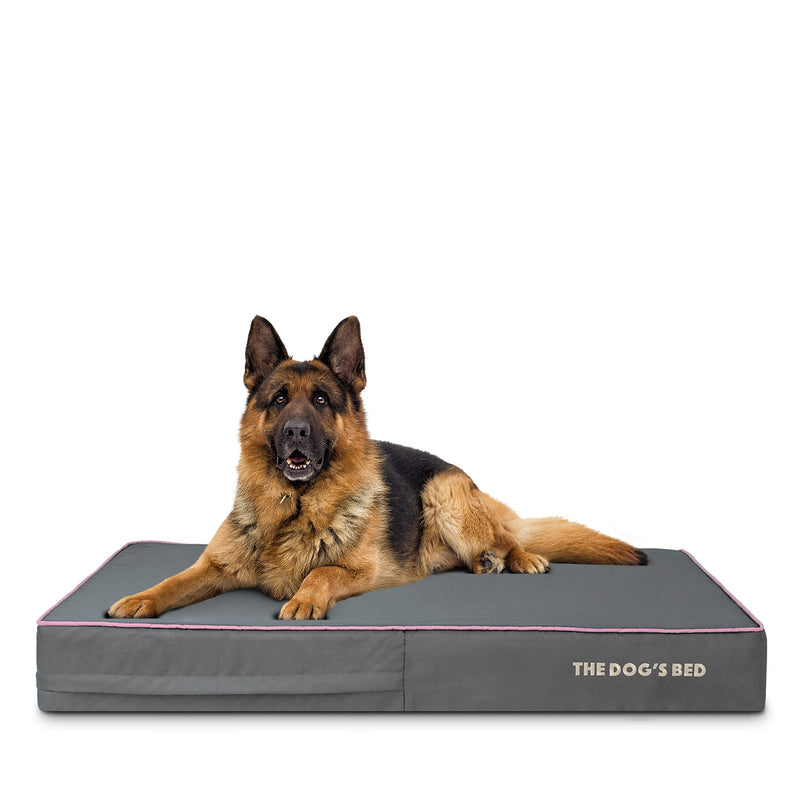 Replacement Outer Cover ONLY (OUTER COVER ONLY - NO BED, NO WATERPROOF INNER) For The Dog's Bed, Washable Oxford Fabric, XL 117 x 71 x 15cm (Grey With Pink Piping) - PawsPlanet Australia