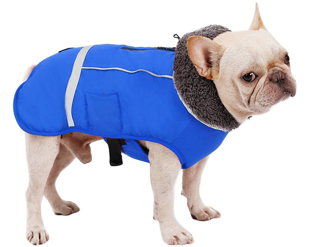 Morezi Outdoor Sport Waterproof Dog Jacket Faux Fur Collar Winter Warm Large Dog Coat with Harness Hole - Blue - XXL - PawsPlanet Australia