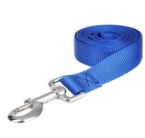 Hypeety Dog Puppy Pet Puppy Training Obedience Lead Leash Recall Strong Durable Nylon Lead or Walk Traction Rope (5Feet/1.5M, Blue) 5Feet/1.5M - PawsPlanet Australia