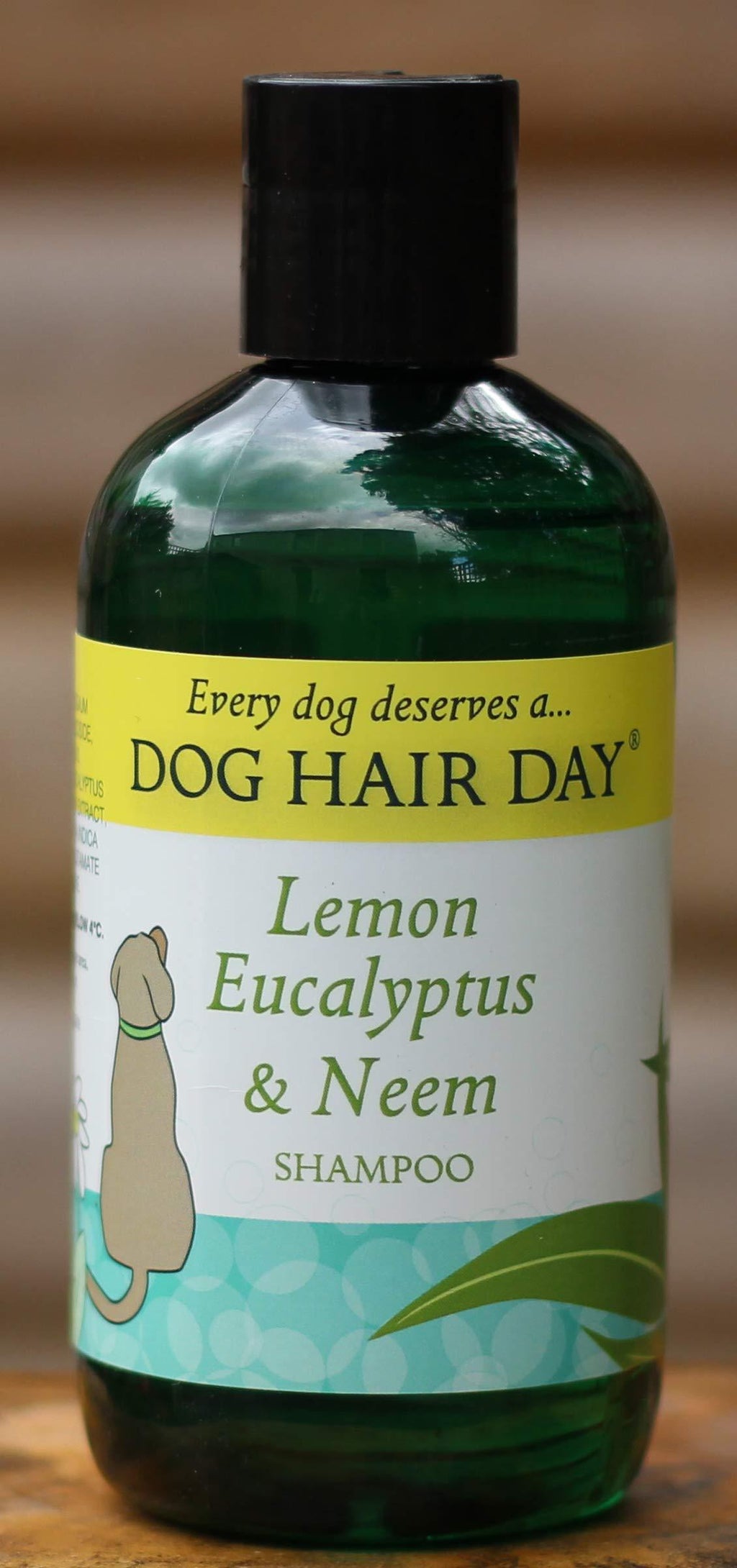 Dog Hair Day Lemon Eucalyptus & Neem Dog Shampoo - PawsPlanet Australia