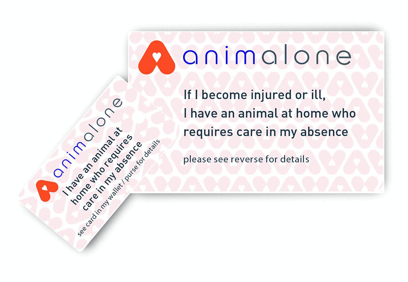 Pet Home Alone Card with Key Fob, choose from Green or Orange cards Orange and White - PawsPlanet Australia