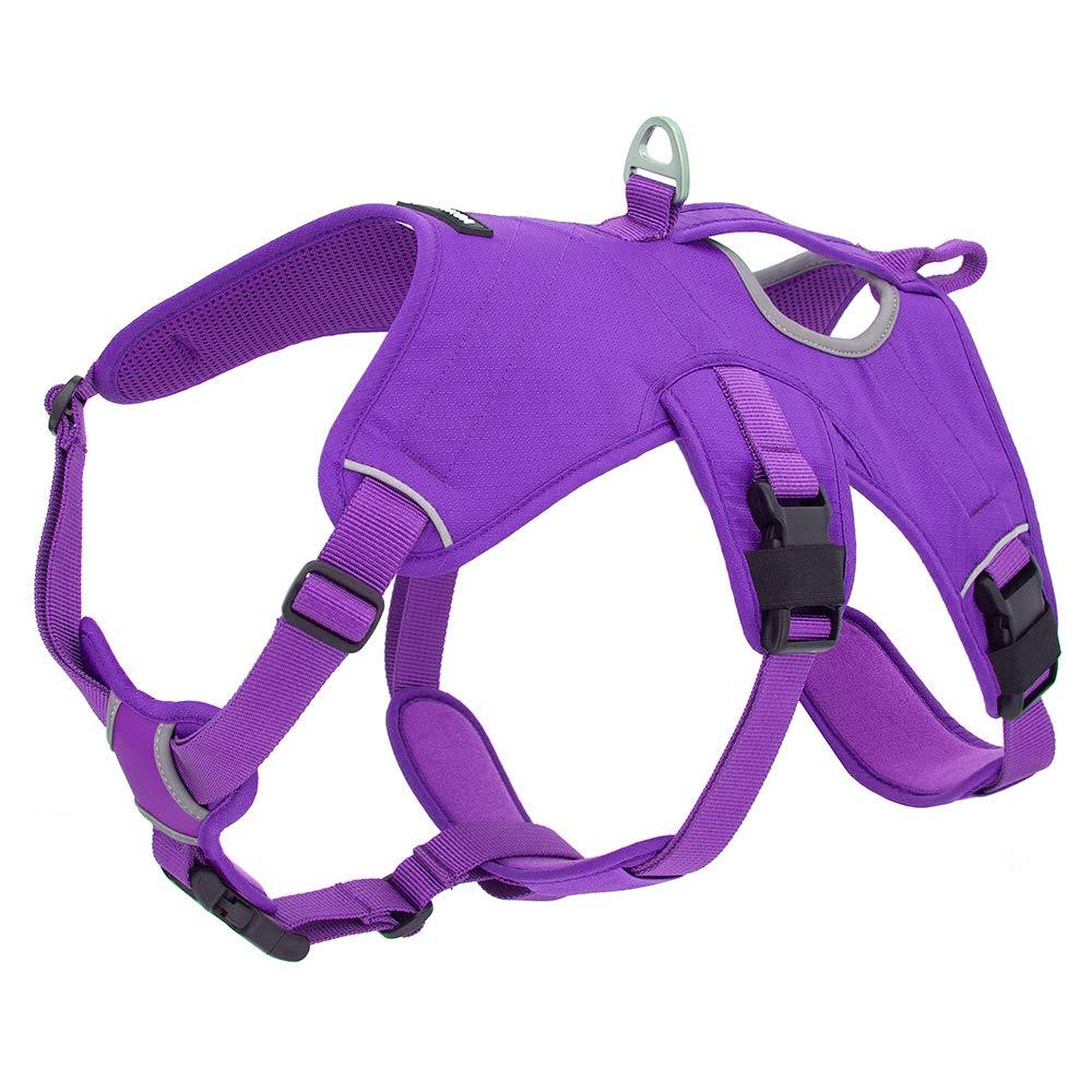 [Australia] - Best Pet Supplies, Inc. Voyager Padded and Breathable Control Dog Walking Harness for Big/Active Dogs Small Purple 