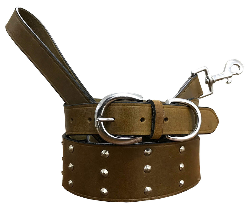 BRADLEY CROMPTON Genuine Leather Matching Pair Dog Collar and Lead Set M 15-19 Inches Khaki Brown - PawsPlanet Australia