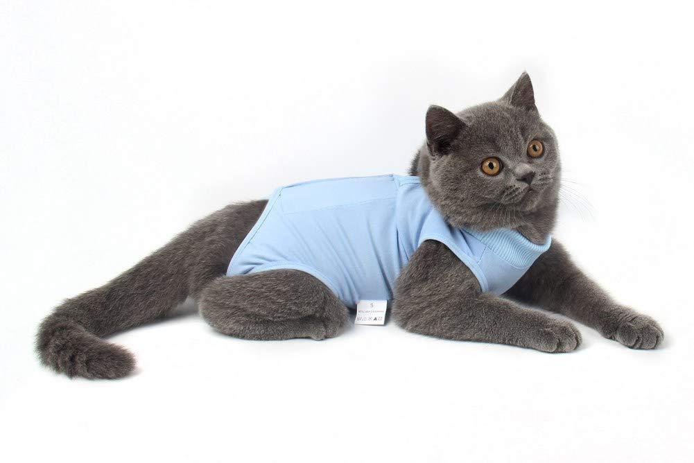 Due Felice Cat Professional Surgical Recovery Suit for Abdominal Wounds Skin Diseases, After Surgery Wear, E-Collar Alternative for Cats Dogs, Home Indoor Pets Clothing Blue M - PawsPlanet Australia