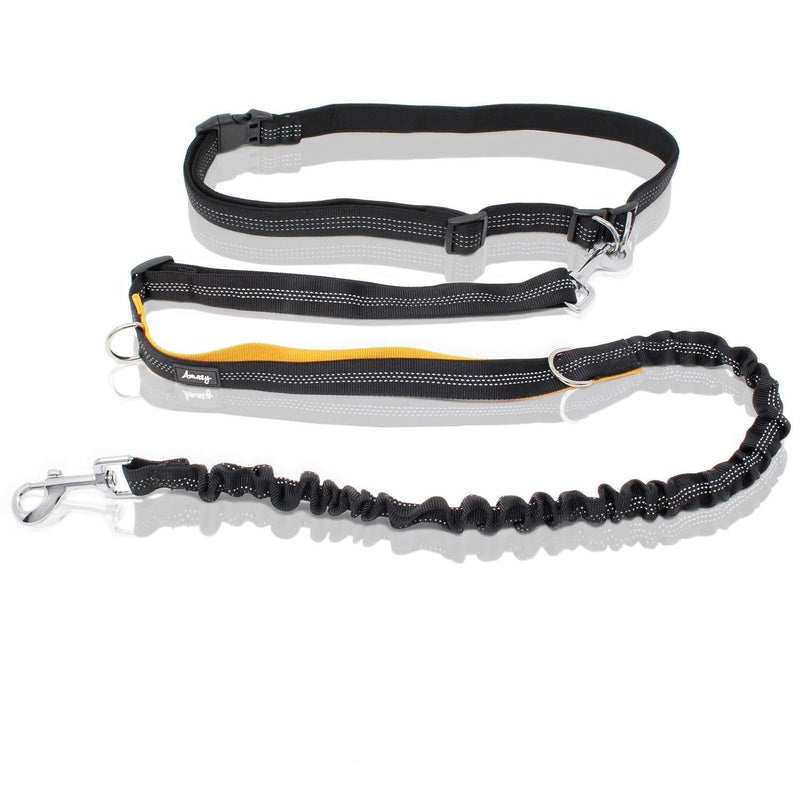 Bella & Balu Dog Jogging Lead with Adjustable Waist Strap - Elastic and Reflective Dog Lead for Hands-Free Jogging, Walking, Walking or Cycling (S | For Small to Medium Dogs) - PawsPlanet Australia