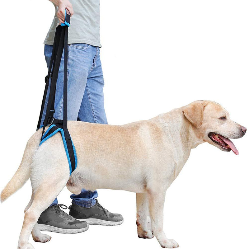 Rantow Adjustable Pet Dogs Lift Support Harness Breathable Mesh Padded Sling Straps Canine Support Rehabilitation for Injuries Arthritis Weak hind Legs & Joints, Blue - PawsPlanet Australia