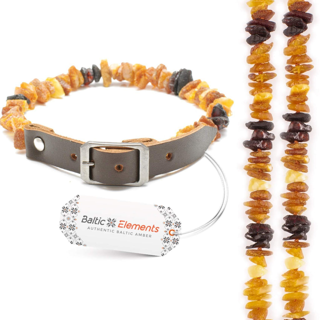 Baltic Elements Amber collar for dogs, amber necklace dog 25-30 cm - PawsPlanet Australia