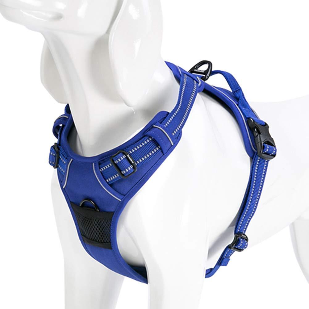 Kismaple Dog Harness No Pull Small Medium Large Dog Vest Harness with Handle Adjustable Reflective Pet Dogs No Choking Breathable Mesh Harness Training Walking Outdoor (L, Blue) L - PawsPlanet Australia
