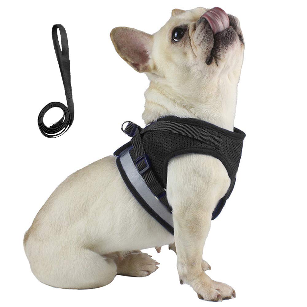 Anlitent Small Sized No Pull Kitten Cat Harness and Lead Set for Walking, Escape Proof Kitten Vest Harnesses with Buckle for Puppy Small Animals/Cats, Easy Fit Cat Collar XS, Black) X-Small - PawsPlanet Australia