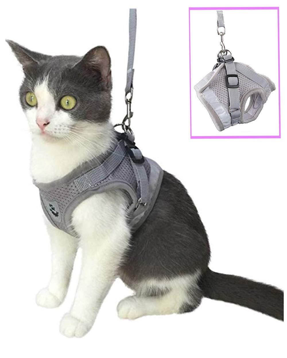 Anlitent Soft Mesh No Pull Cat Harness and Lead Set for Walking, Escape Proof Kitten Vest Harnesses for Small Animals Rabbit/Mouse/Cats, Cool Cat Collar XS X-Small Grey - PawsPlanet Australia