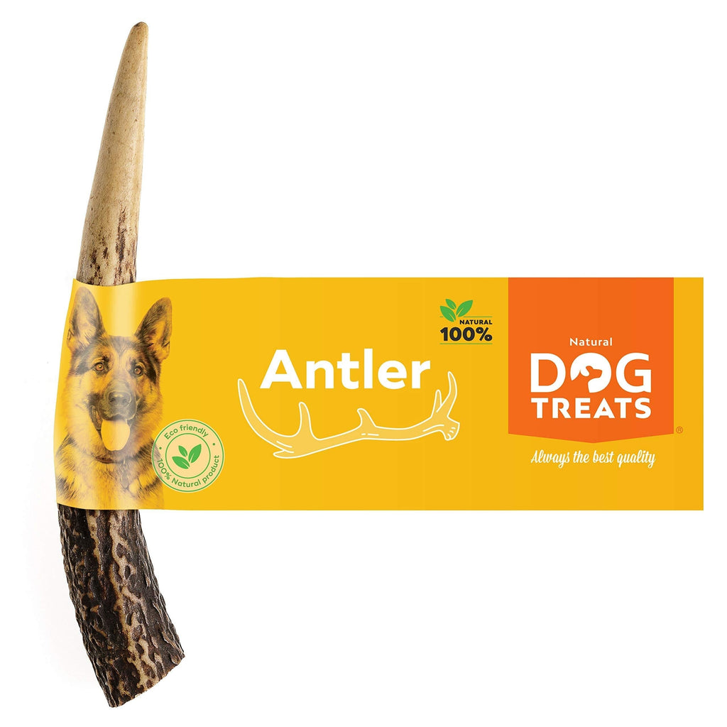 Premium 100% Natural Deer Antler Dog Chew Long Lasting Toy for Dogs, Size Small Antler S (50 - 75 g) - PawsPlanet Australia