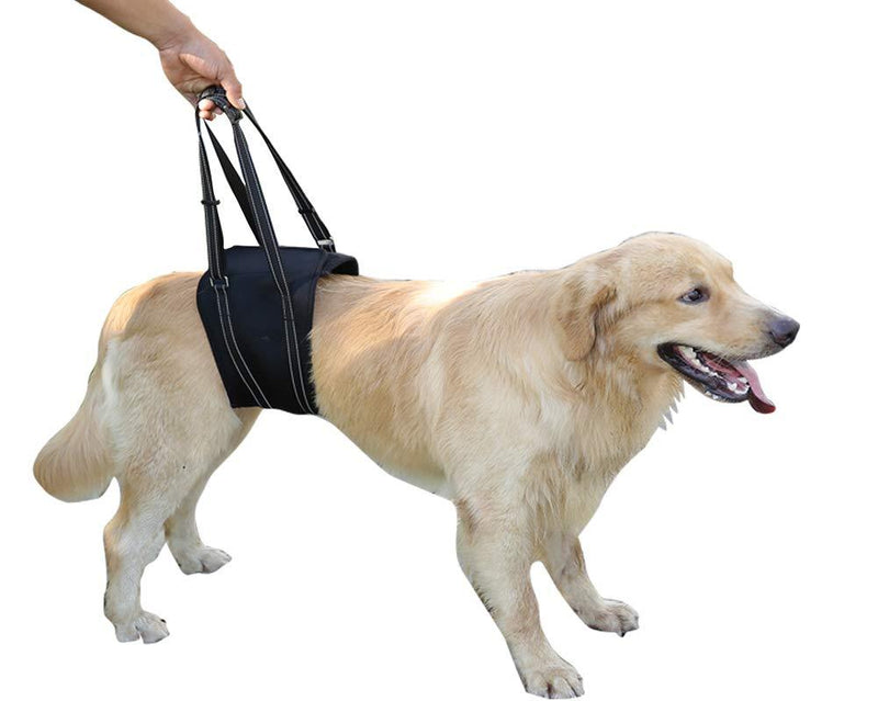 Dog Lift Harness Sling ACL Brace Limping Help Up Aid Veterinarian Approved for Cruciate Ligament Support,Canine Arthritis,Rehabilitation,Poor Stability,Joint Injuries,Mobility and Recovery - Black - S 63*14CM - PawsPlanet Australia